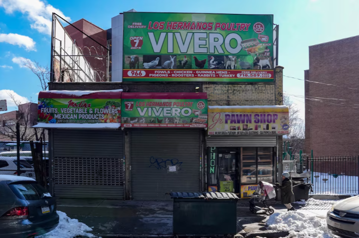 Democratas da Câmara abrem investigação sobre medidas de Kennedy contra a Influenza Aviária