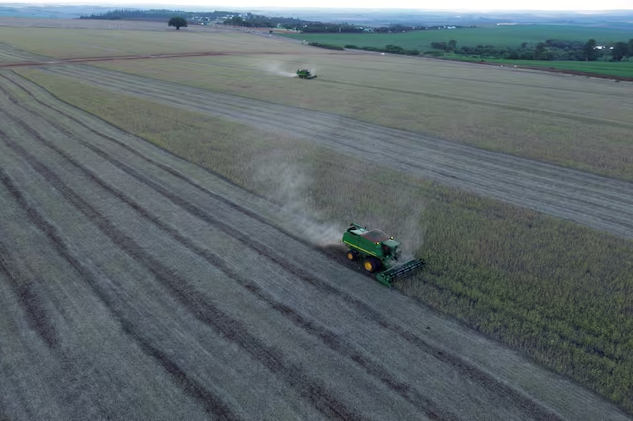 Pirataria de sementes de soja gera prejuízo bilionário no Brasil