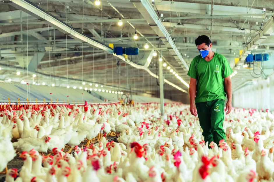 Grupo Pluma compartilha mais de 34 milhões em lucros com colaboradores