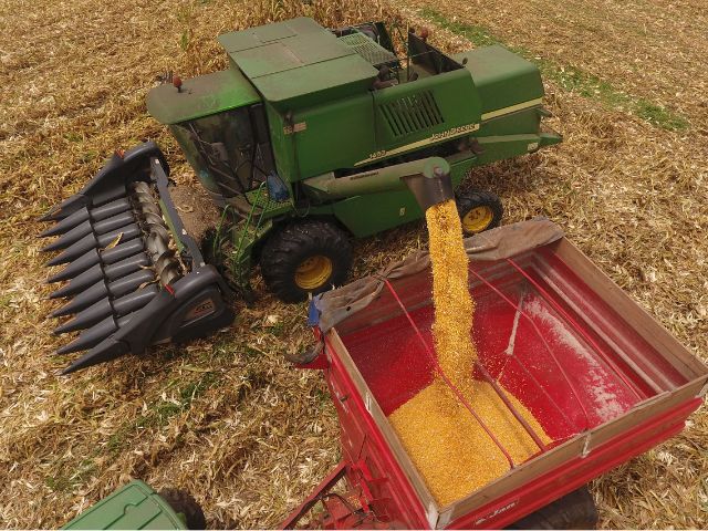 Sistema de plantio de grãos da Epagri: agricultura sustentável e produtiva