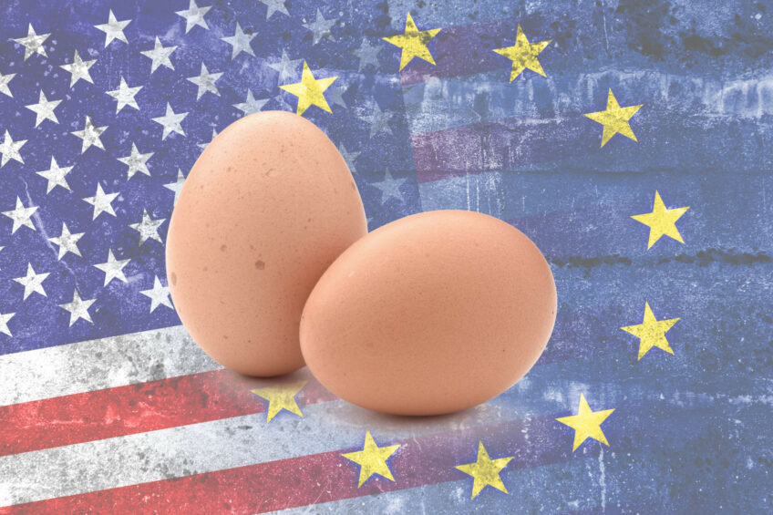 Mercado de ovos: escassez e preços na Europa e nos EUA Mercado de ovos: escassez e preços na Europa e nos EUA