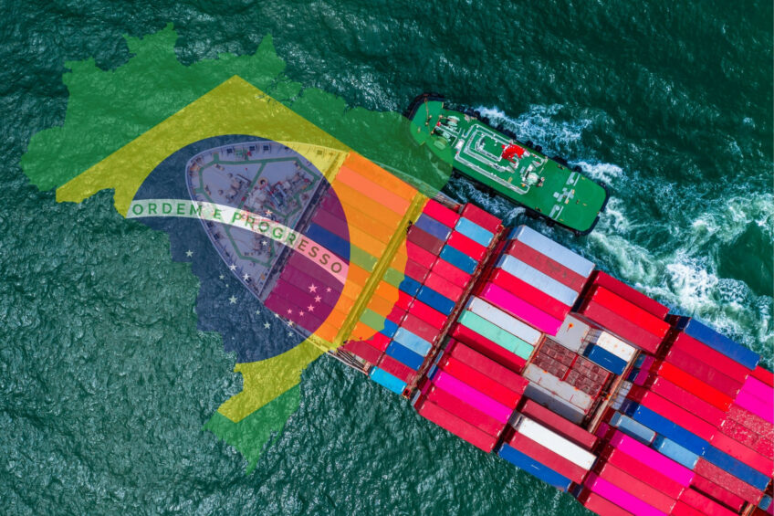 Setor avícola brasileiro surpreende com volume de exportações