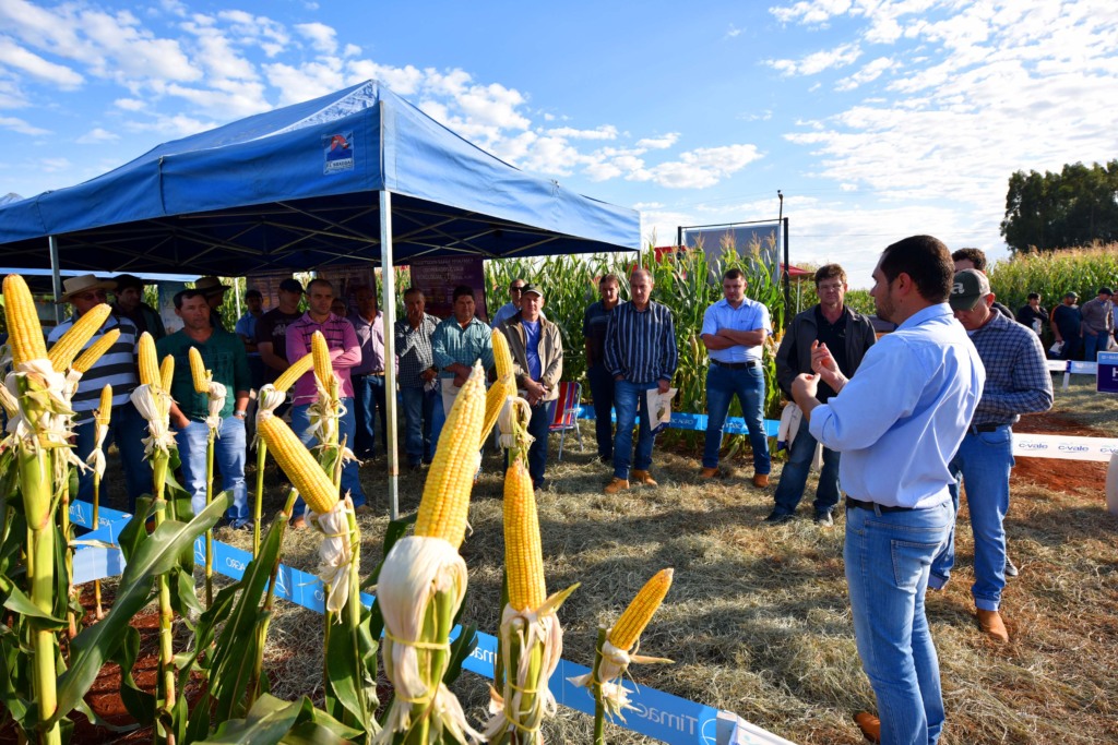C.Vale promove Dia de Campo de Inverno em Palotina (PR)