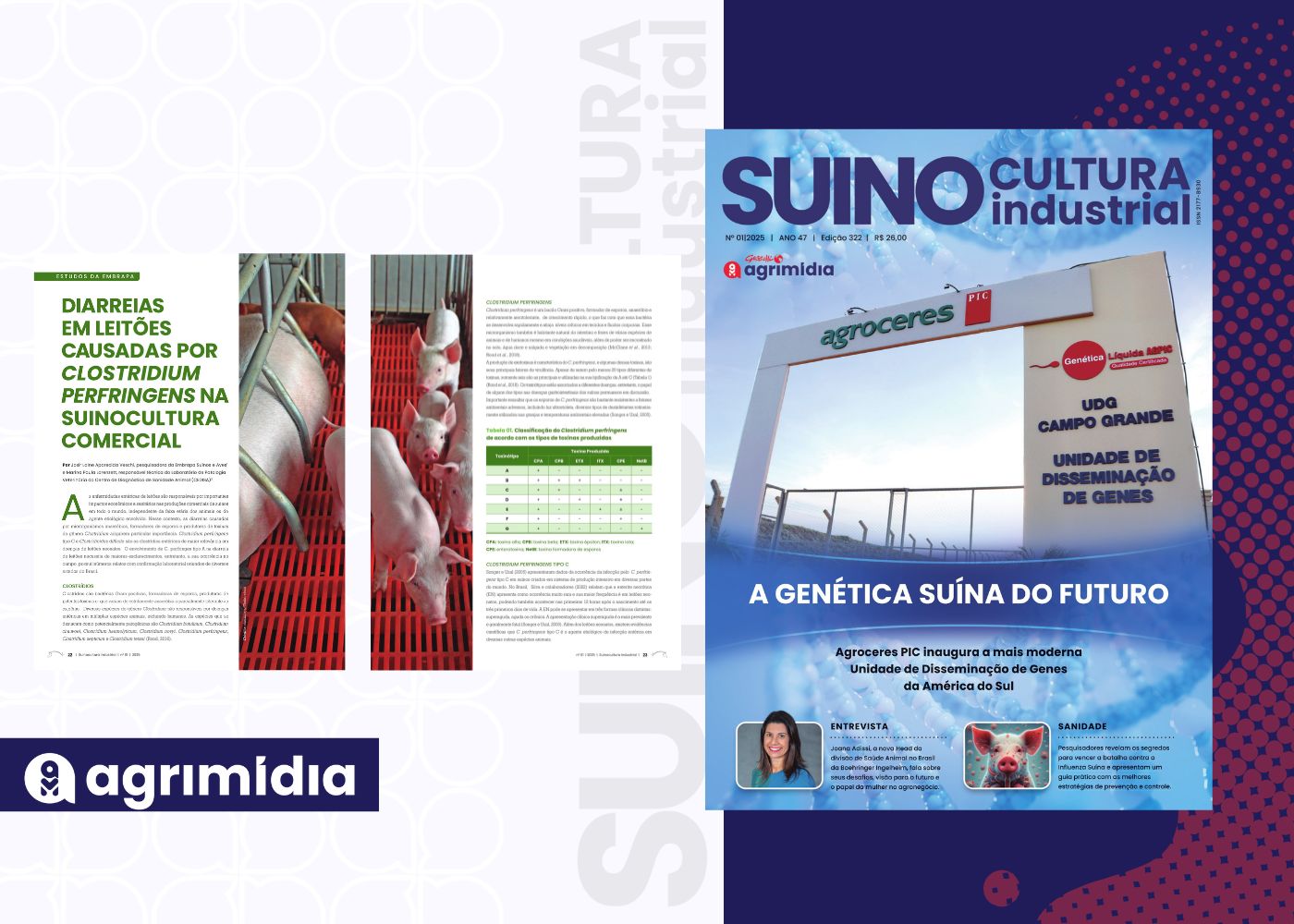 Revista Suinocultura Industrial: Diarreias em leitões causadas por clostridium perfringens na suinocultura comercial