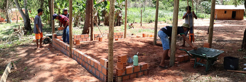 Quais são os motivos para “galinheiros sociais” representarem risco à biosseguridade do Paraná? Entenda