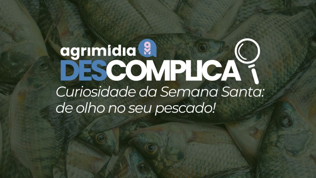 Agrimidia Descomplica: Curiosidade da Semana Santa – de olho no seu pescado!