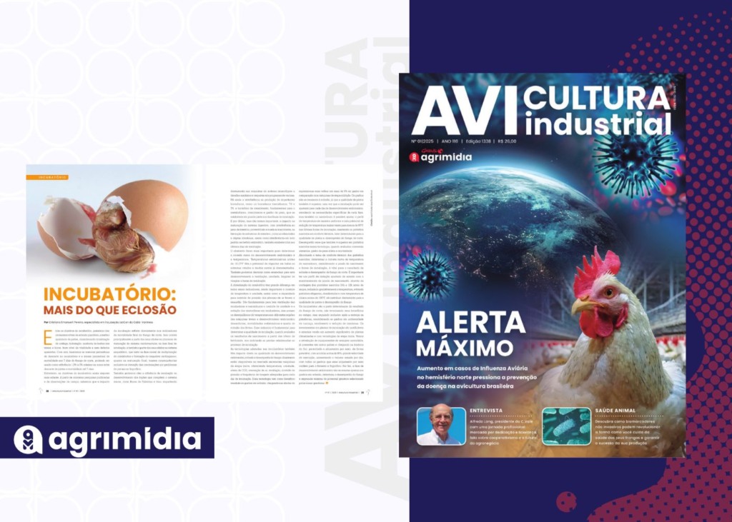 Revista Avicultura Industrial: “Incubatório: mais do que eclosão”