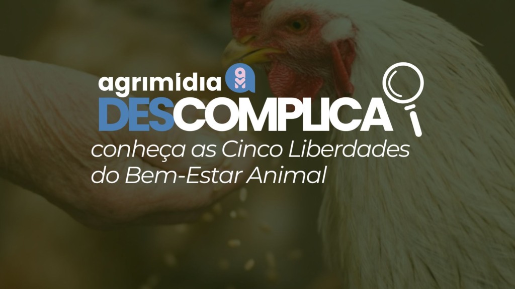 Agrimidia Descomplica: Além da produção – conheça as Cinco Liberdades do Bem-Estar Animal
