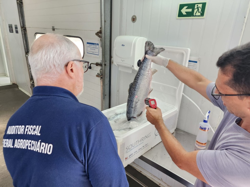 Anffa Sindical orienta consumidores sobre escolha de pescados durante a Semana Santa