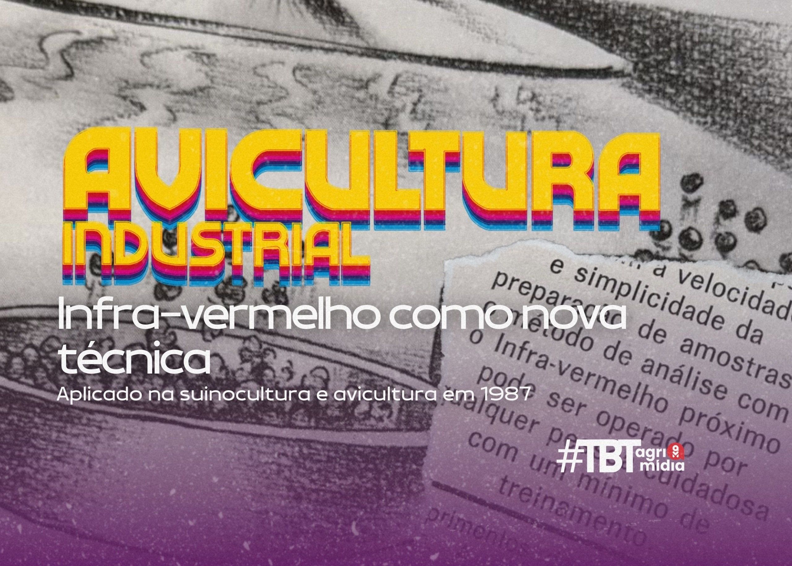 #TBT Agrimidia: Infra-vermelho como nova técnica na avicultura e suinocultura em 1987 #TBT Agrimidia: Infra-vermelho como nova técnica na avicultura e suinocultura em 1987