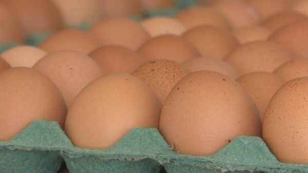 EUA ultrapassam Emirados Árabes e se tornam o principal importador de ovos do Brasil