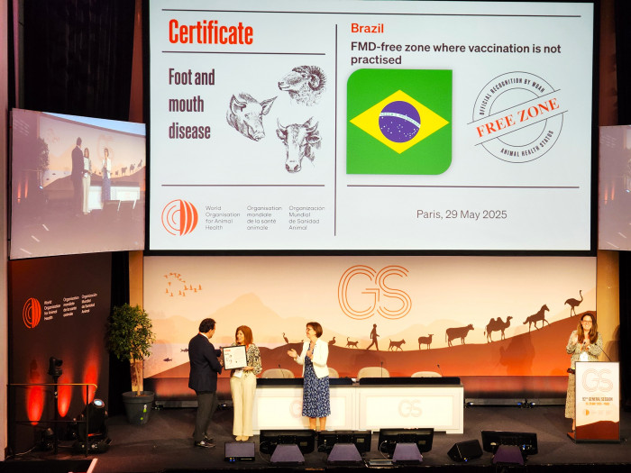 Organização Mundial da Saúde Animal reconhece o Brasil como zona livre de Febre Aftosa sem vacinação