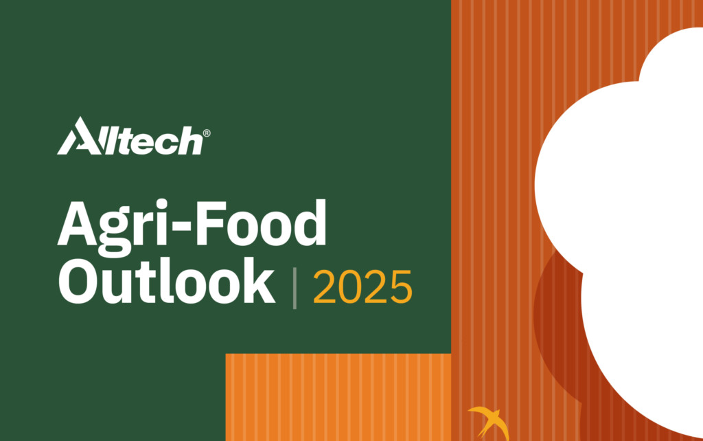 Produção de ração no Brasil cresce 2,4% em 2024, o dobro do índice global