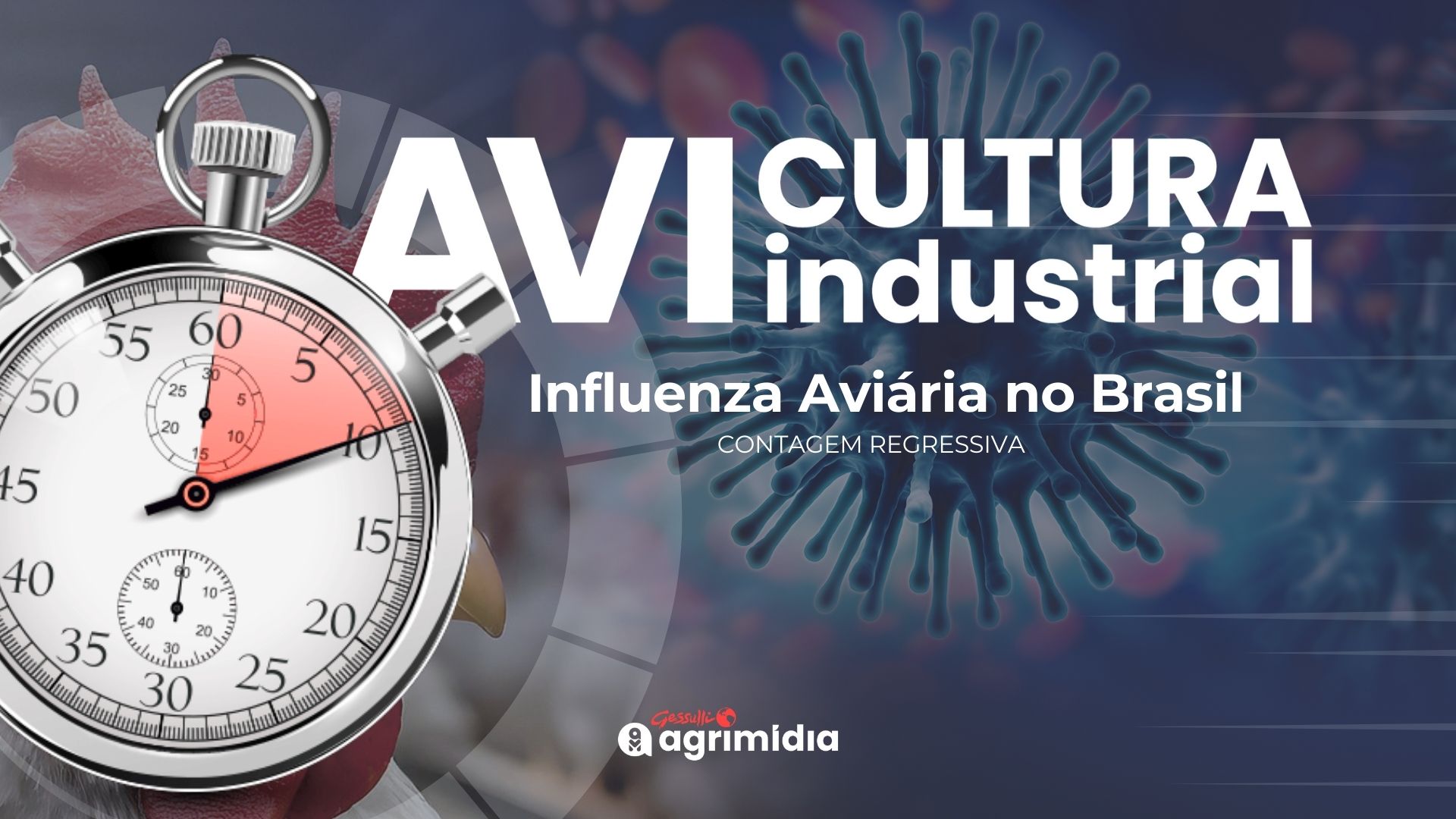 Prazo de 25 dias para Brasil retomar status de país livre da Influenza Aviária