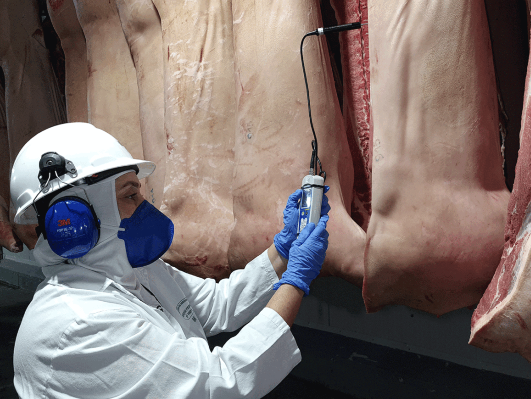 Privatização da inspeção animal gera ação do Ministério Público a pedido de auditores