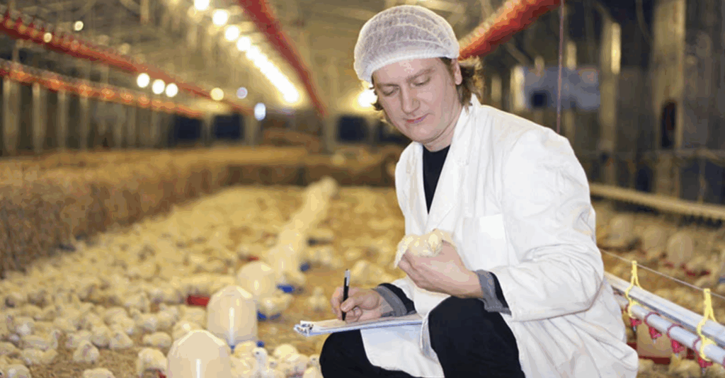 MEC endurece regras para cursos do agro na modalidade EAD