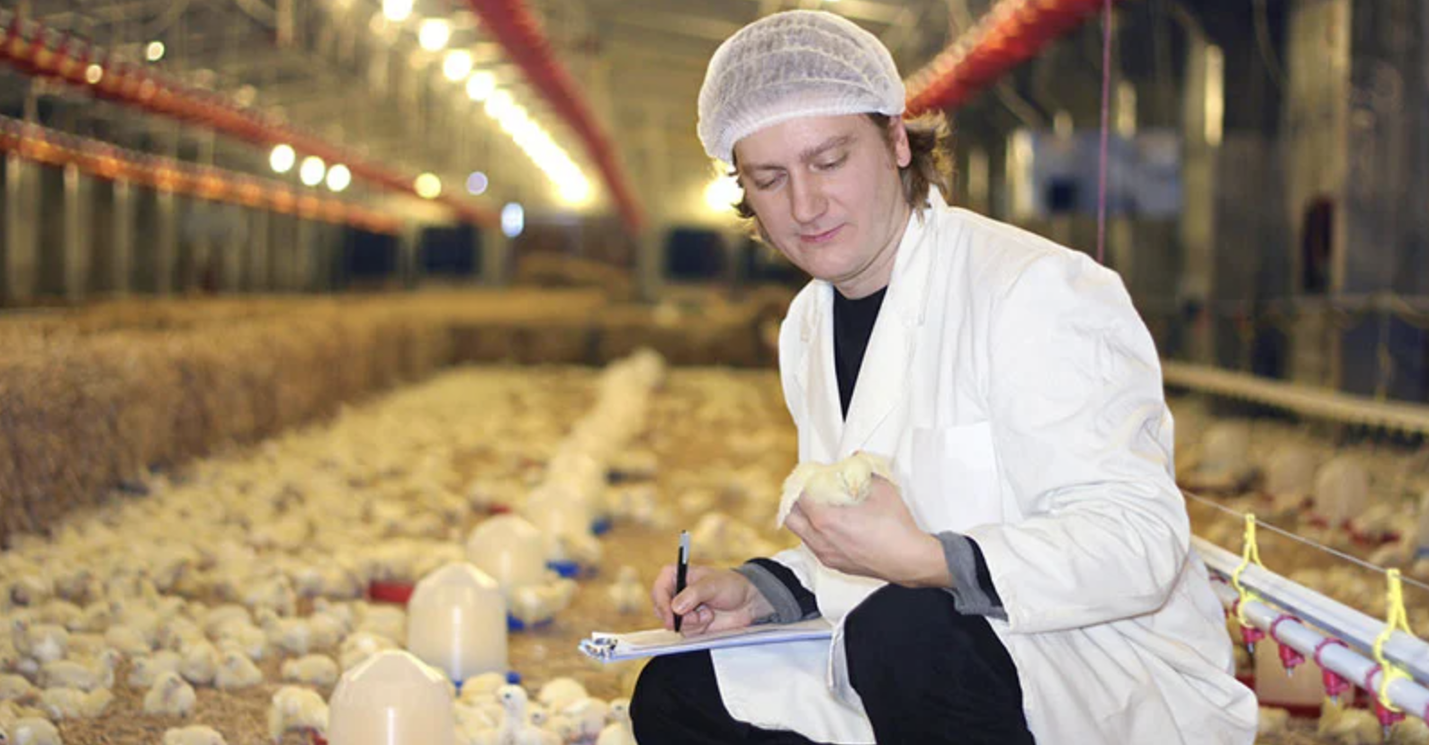 MEC endurece regras para cursos do agro na modalidade EAD