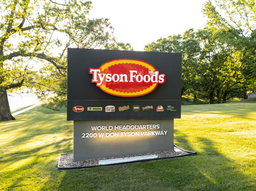 Eficiência no armazenamento: Tyson busca reduzir custos em grande escala