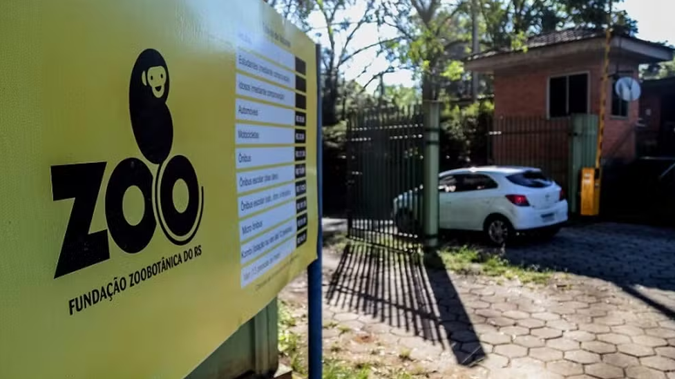 Estado do RS apresentará documentos sobre casos de Influenza Aviária no Zoológico dentro do prazo legal Estado do RS apresentará documentos sobre casos de Influenza Aviária no Zoológico dentro do prazo legal