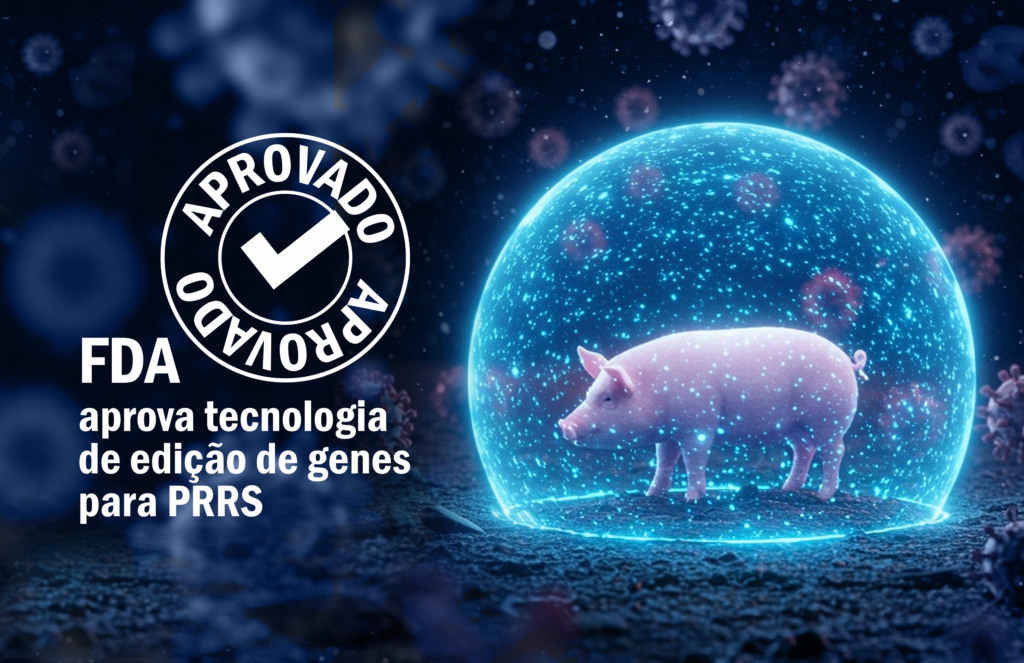 PIC recebe aprovação da FDA para tecnologia utilizada na produção de suínos resistentes à PRRS