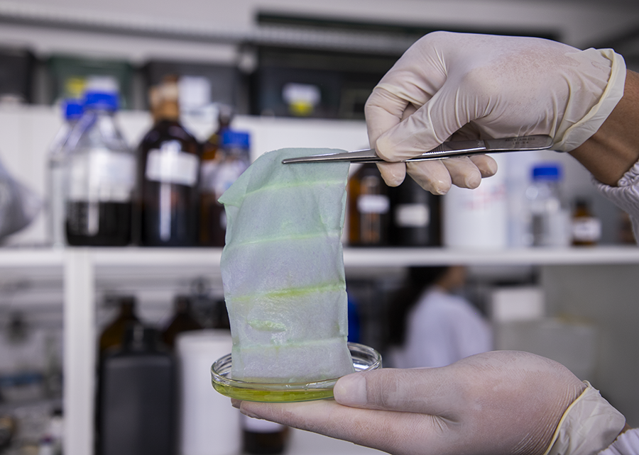 Embalagem inteligente muda de cor para avisar que o peixe estragou