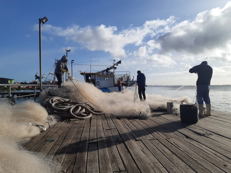 O Ministério da Pesca e Aquicultura alerta sobre envio de Mapa de Bordo para a tainha, anchova, sororoca e serra O Ministério da Pesca e Aquicultura alerta sobre envio de Mapa de Bordo para a tainha, anchova, sororoca e serra