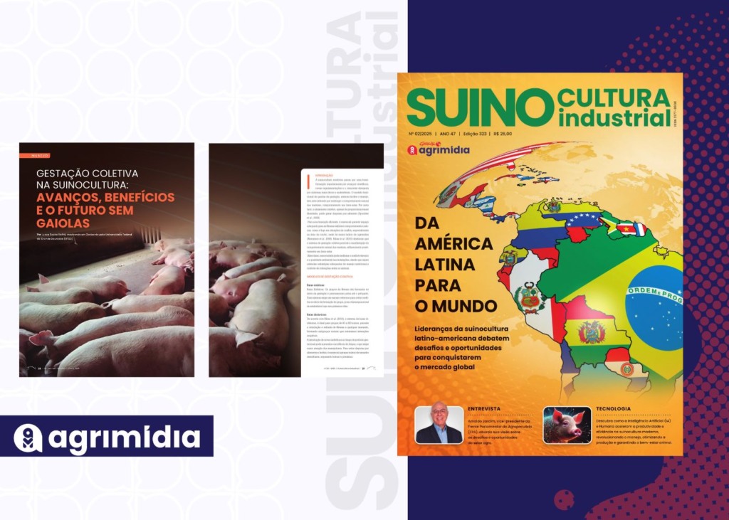 Revista Suinocultura Industrial: Gestação coletiva na suinocultura – avanços, benefícios e o futuro sem gaiolas