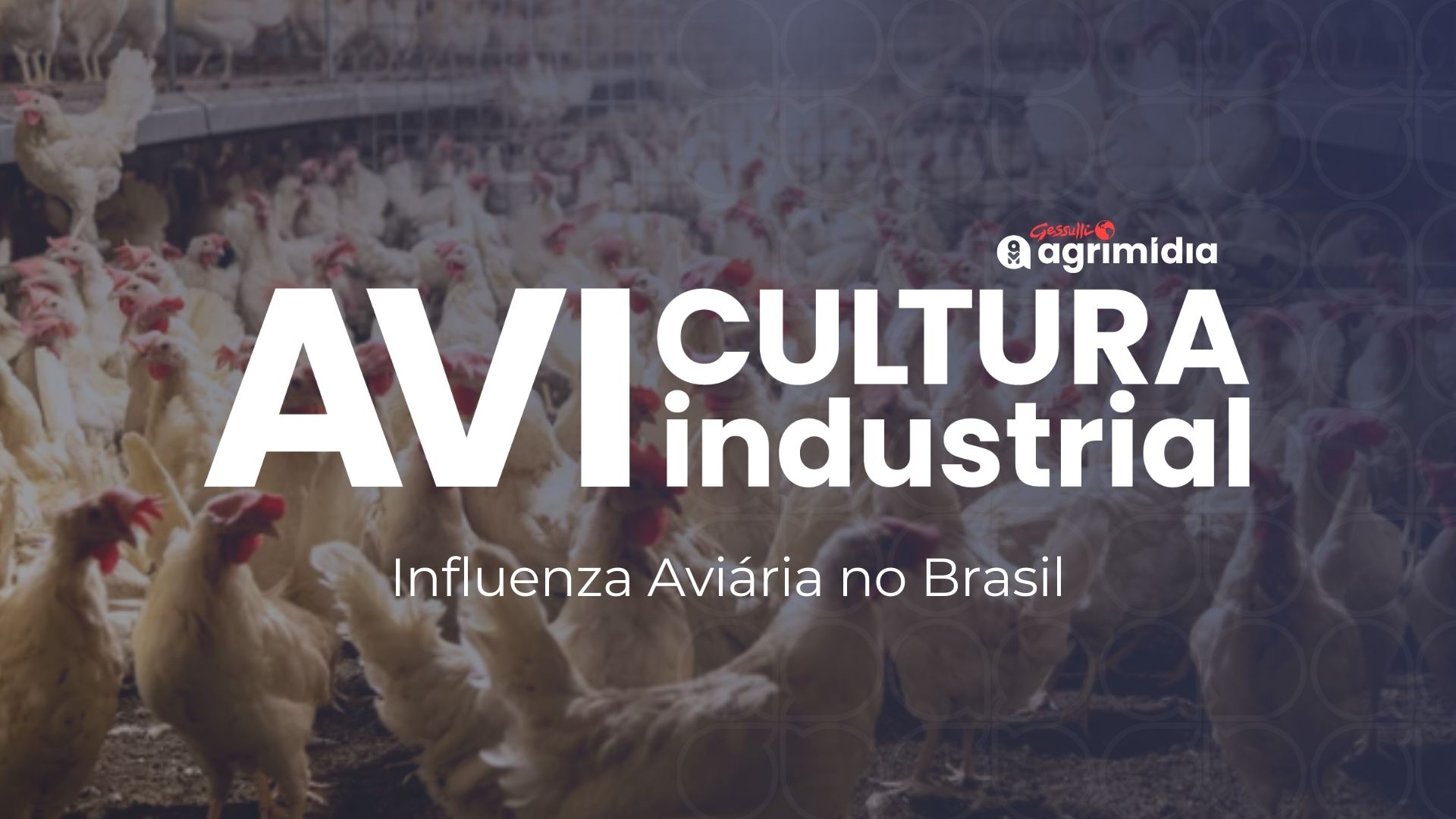 Mais de 10 países embargam frango brasileiro após foco de Influenza Aviária, ameaçando US$ 1 Bilhão em exportações Mais de 10 países embargam frango brasileiro após foco de Influenza Aviária, ameaçando US$ 1 Bilhão em exportações