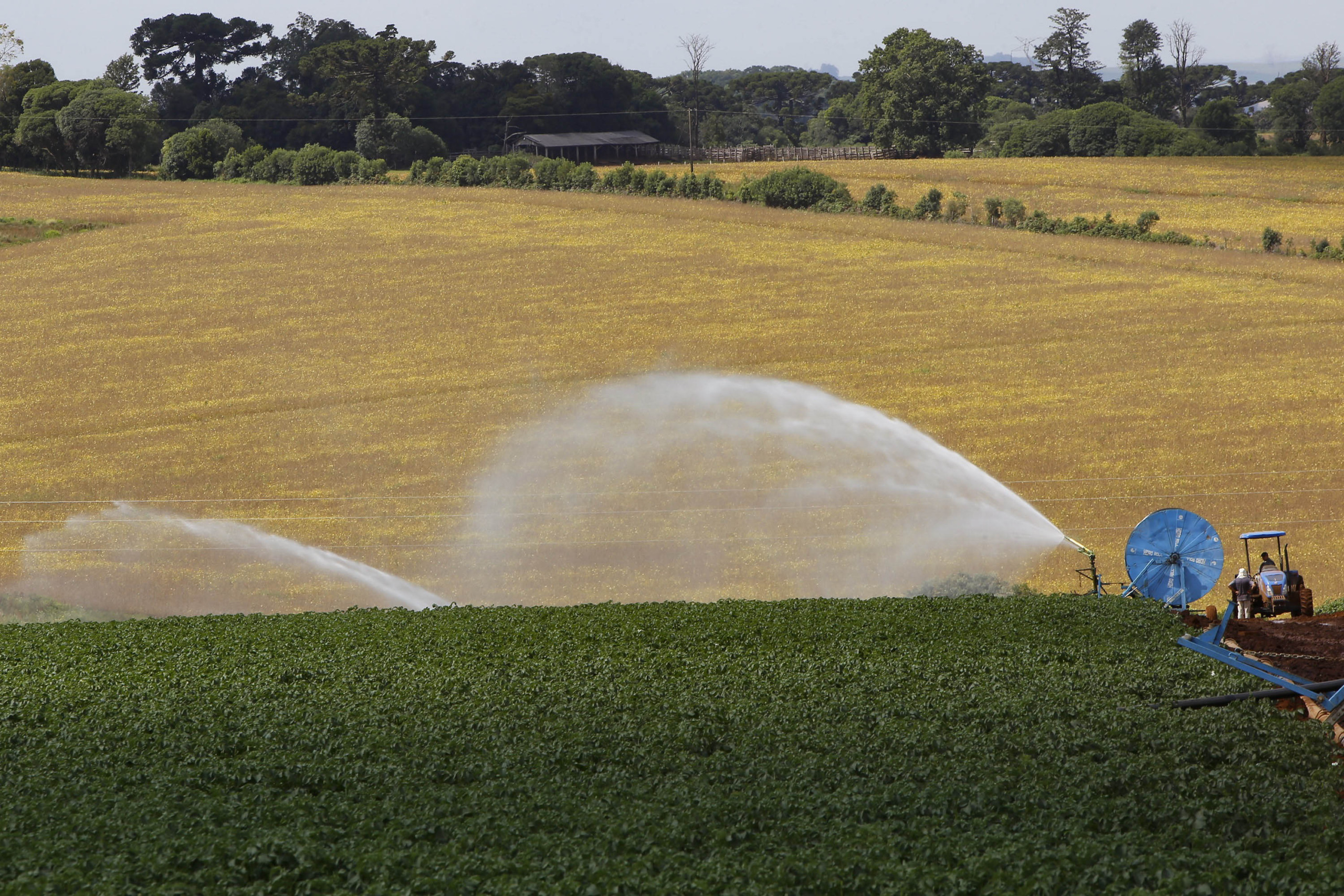 Com 7,8 mil projetos, Banco do Agricultor já liberou R$ 1 bilhão para produtores rurais