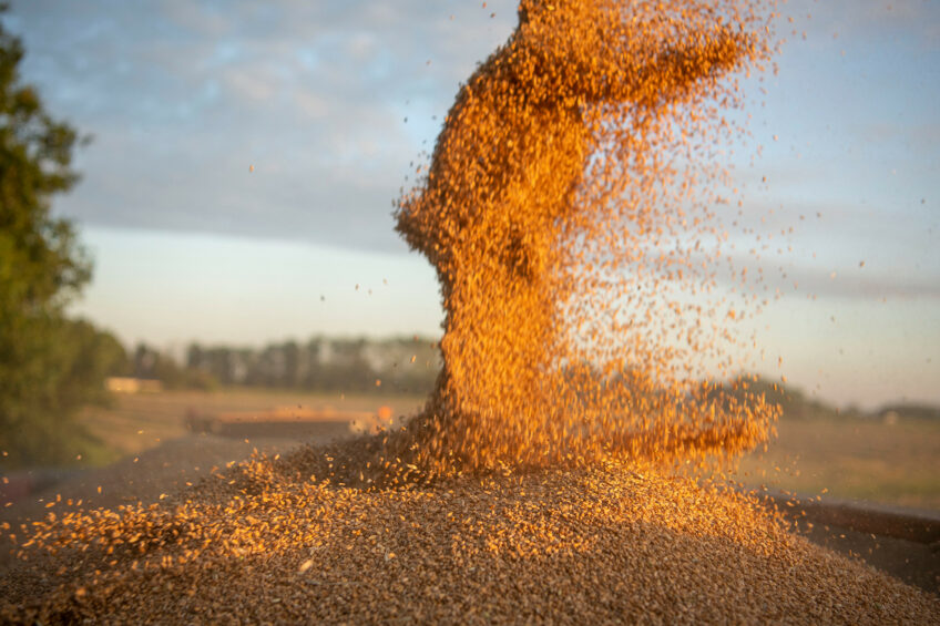 UE responde aos EUA: grãos e soja na mira de novas tarifas