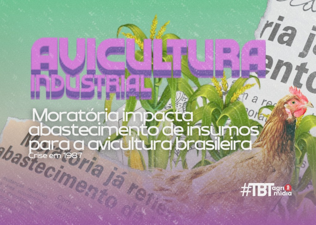 #TBT Agrimidia: “Moratória impacta abastecimento de insumos para a avicultura brasileira” em 1987