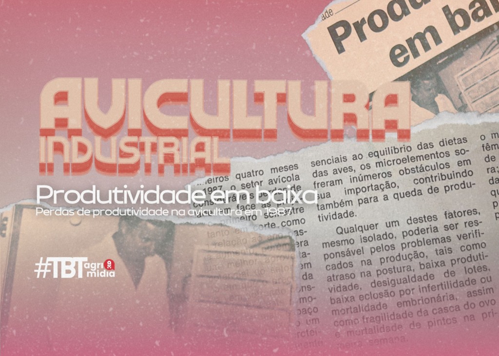 #TBT Agrimidia: “Produtividade em baixa”