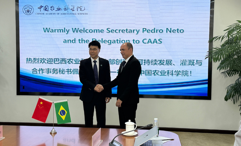 Brasil e China aprofundam diálogo sobre agronegócio sustentável