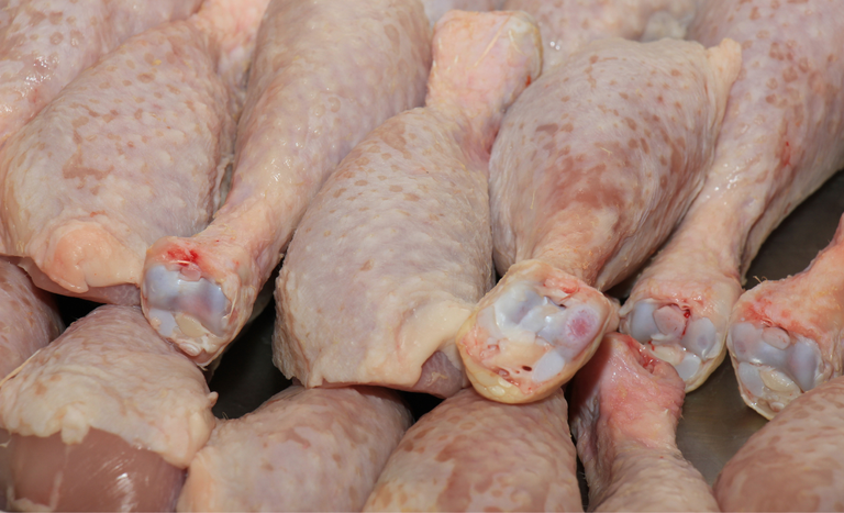 Exportação de frango: Jordânia e Kuwait reabrem portas ao Brasil