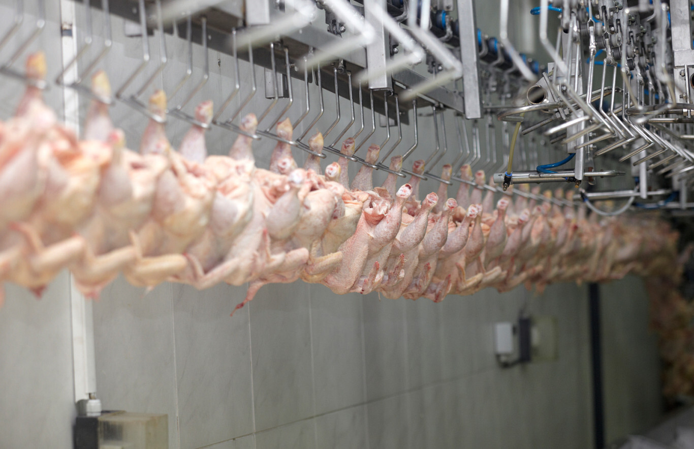 21 países mantém suspensão de exportação de carne de aves do Brasil