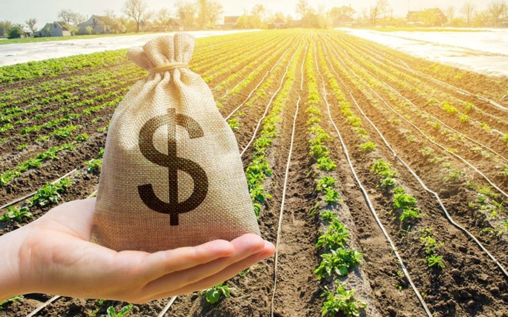 Recuperação judicial: cresce o número de empresas em crise no início de 2025