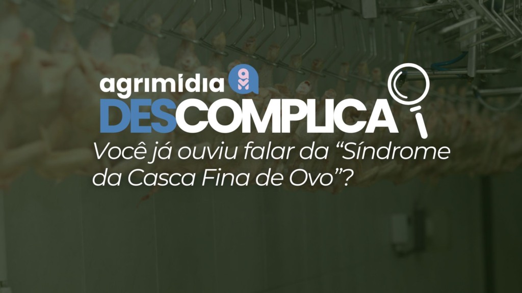 Agrimidia Descomplica: Você já ouviu falar da “Síndrome da Casca Fina de Ovo”?
