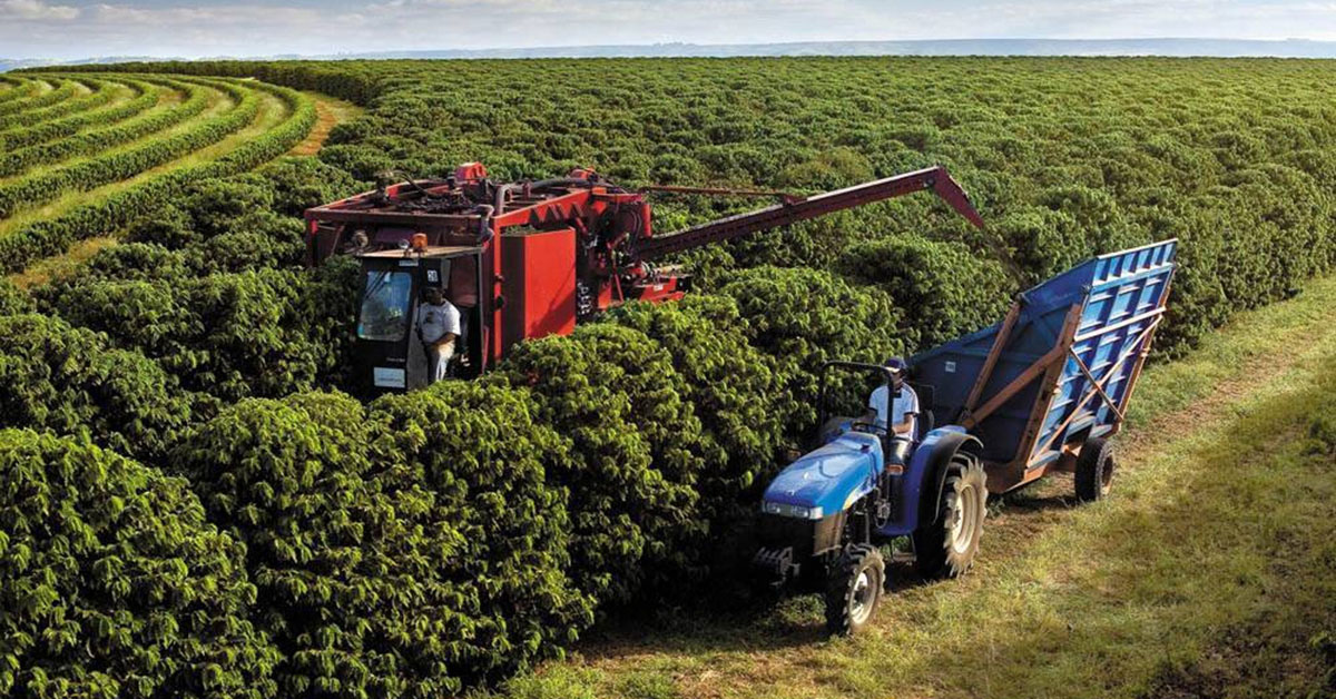 Novo recorde: agronegócio brasileiro emprega 28,5 mi de pessoas no 1º trimestre