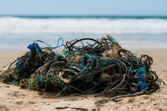 Instituto de Pesca firma parceria com a UFRPE dedicada ao tema dos petrechos de pesca
