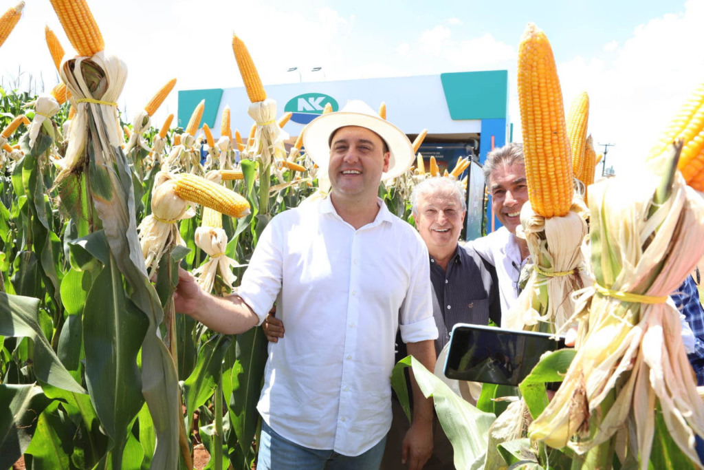 A influência política do governador Ratinho Junior: os segredos do sucesso no agronegócio Paranaense 