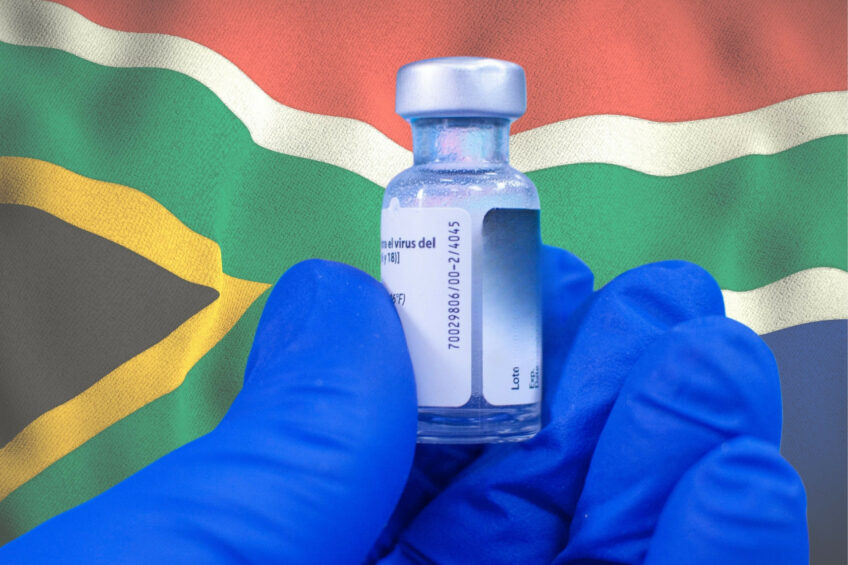 Setor avícola da África do Sul se prepara para vacinação em massa contra Influenza Aviária Setor avícola da África do Sul se prepara para vacinação em massa contra Influenza Aviária