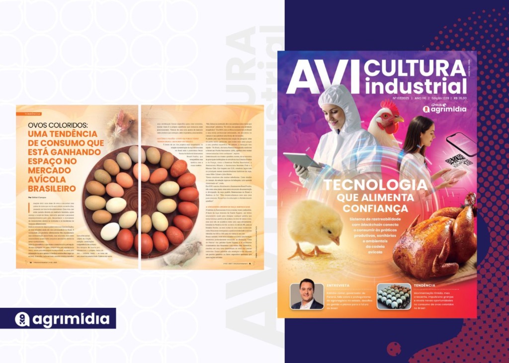 Ovos coloridos: uma tendência de consumo que está ganhando espaço no mercado avícola brasileiro