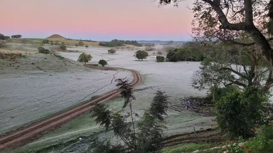 Onda de frio no Sul do país preocupa produtores