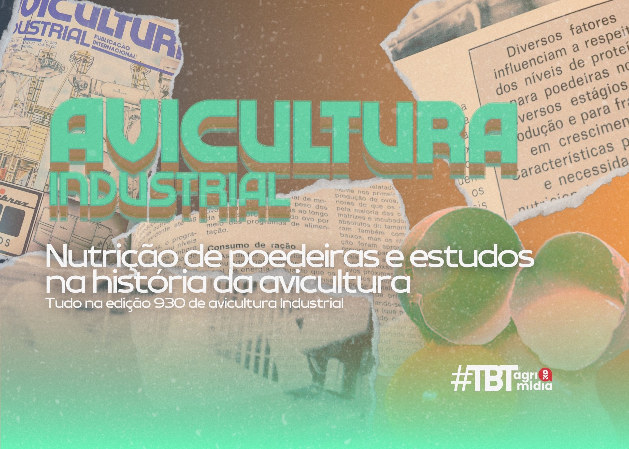 #TBT Agrimidia: Nutrição de poedeiras e estudos na história da avicultura brasileira