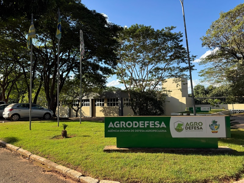 Agrodefesa confirma primeiro caso de Influenza Aviária em Goiás Agrodefesa confirma primeiro caso de Influenza Aviária em Goiás