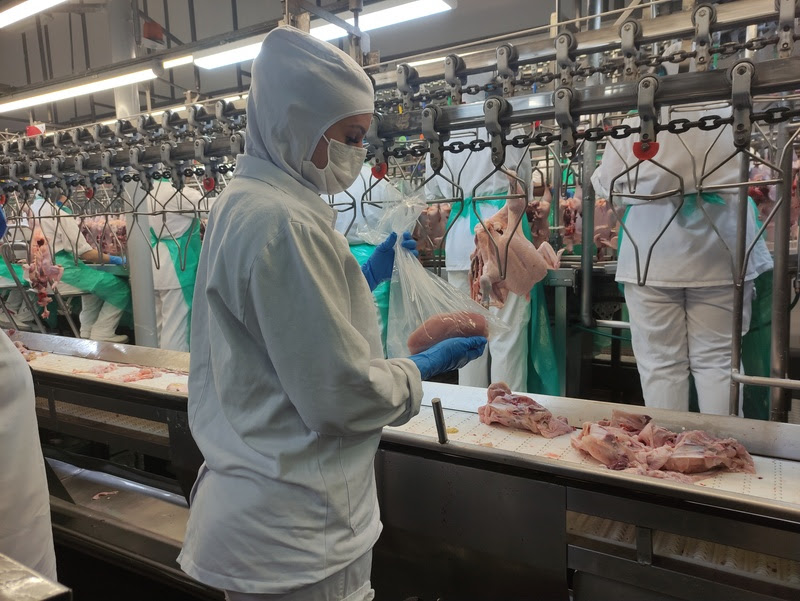 Auditores fiscais federais agropecuários celebram 25 anos em defesa do agro nacional