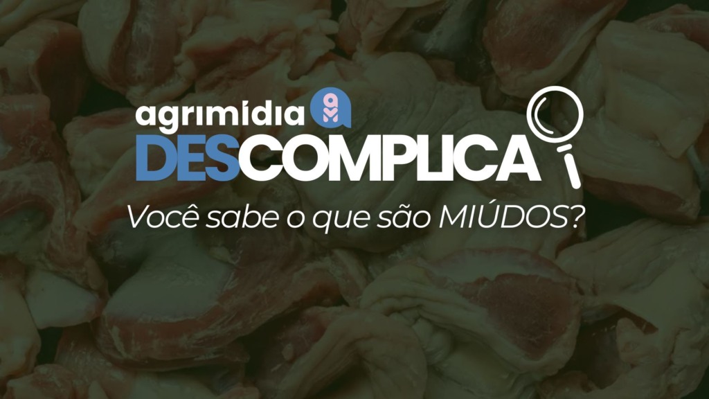 Agrimídia Descomplica: Você sabe o que são MIÚDOS? Entenda