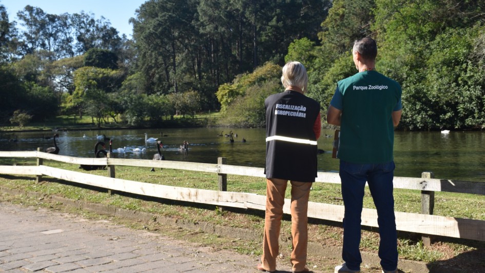 Foco de Influenza Aviária no Zoológico de Sapucaia é encerrado após 14 dias sem mortes de aves