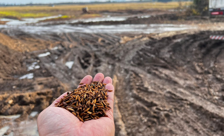 Governo institui Grupo de Trabalho para discutir dívidas rurais no Rio Grande do Sul
