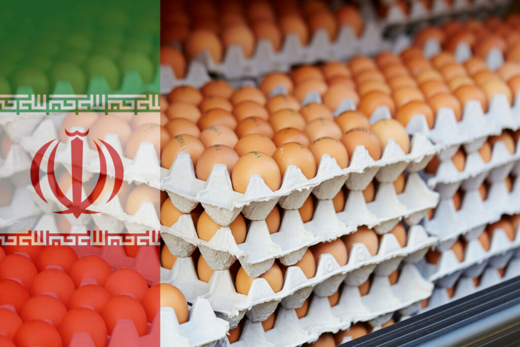 Conflito com Israel interrompe logística e vendas de ovos no Irã, mas produção permanece intacta